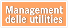 management delle utilities